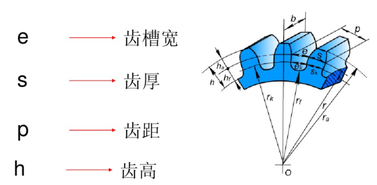 齒輪齒槽寬等其它參數(shù)說明